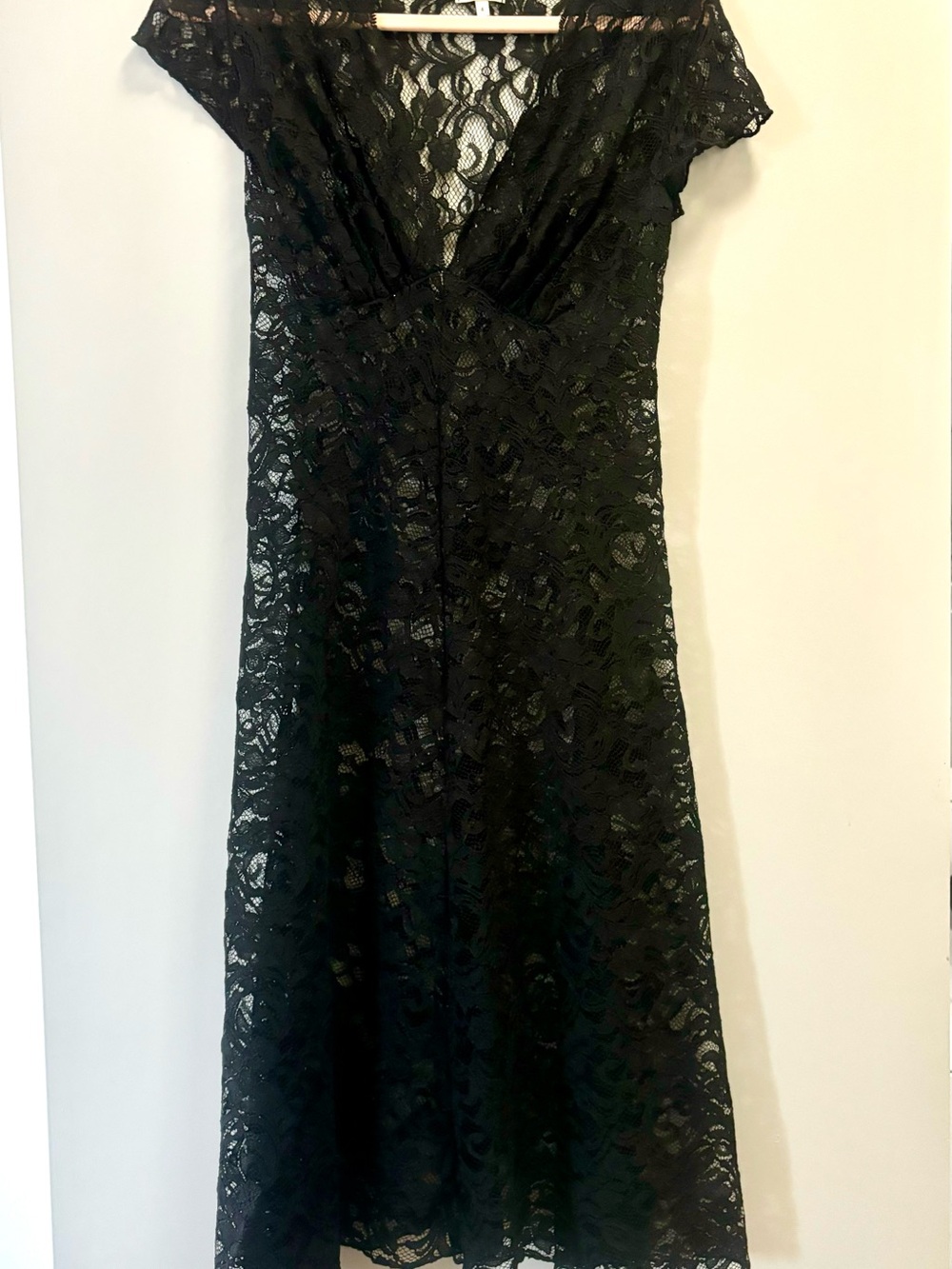 Black Lace V-Neck Sheer Dress Size 4